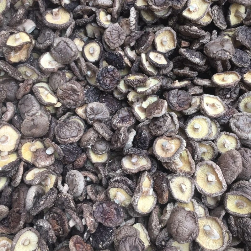 
Detan Dried Shitake Mushrooms price 