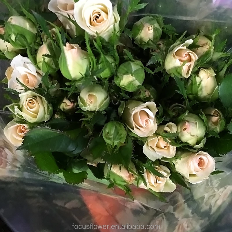 First class bulls rose wedding decoration flower of love