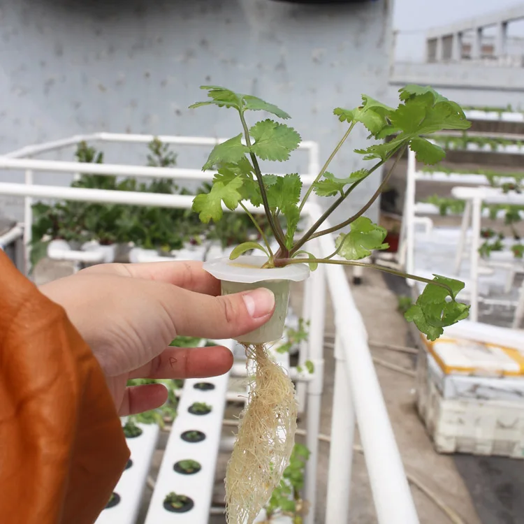 
Vertical System With All Relevant Equipment 