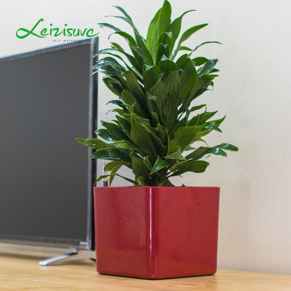Leizisure Self-watering Pots Manufacture Indoor Mini Small Lazy Plastic Flower Pot Cube Herb Bonsai Plant Pot Planter