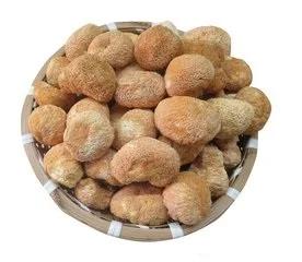 Лидер продаж 2018, противоканцероидный сушеный гриб Львиной гривы