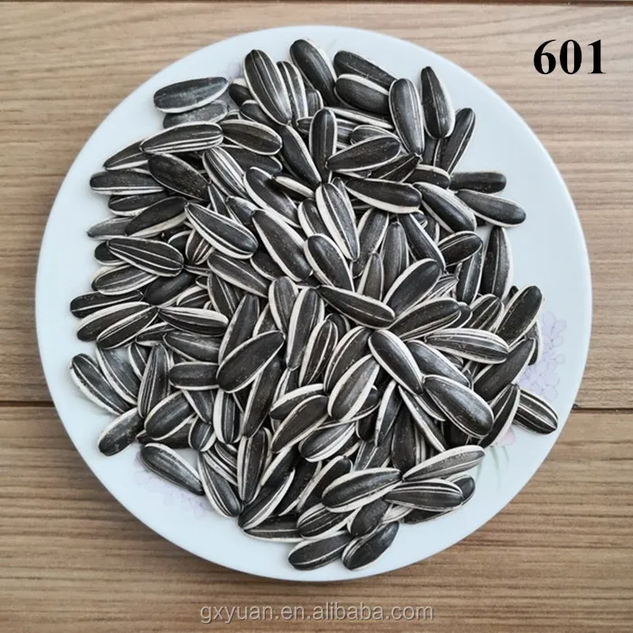 Chinese new crop sunflower seeds