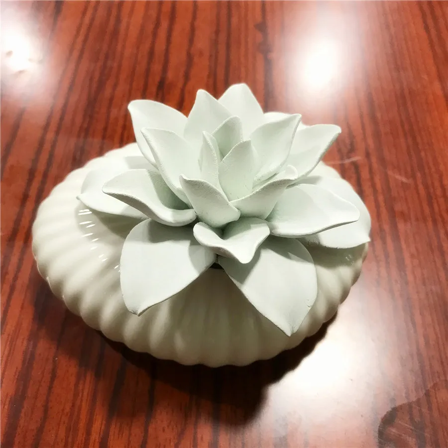 
Ceramic Aroma Stone Ceramic Flower Bottle Reed Diffuser Home Decor 
