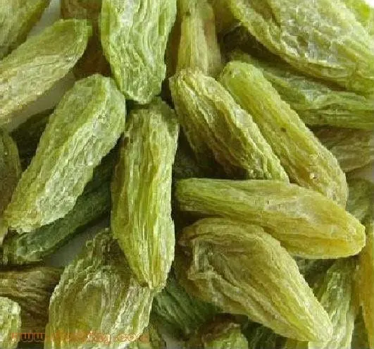 
hot sale green raisin with high quality 