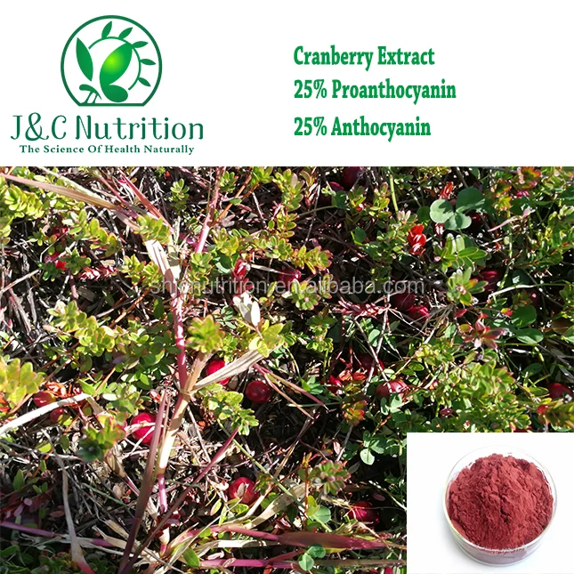 Hot selling High Quality Proanthocyanidins Powder Cranberry Extract, Cranberry powder