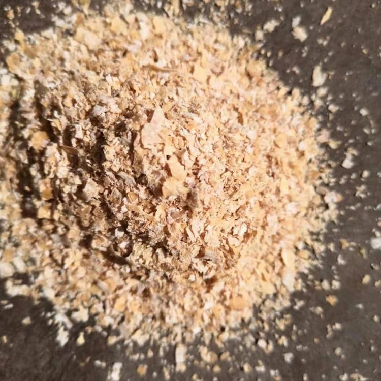 
Quality Wheat Bran for animals at Economical Rate Animal Use Wheat Bran Natural 