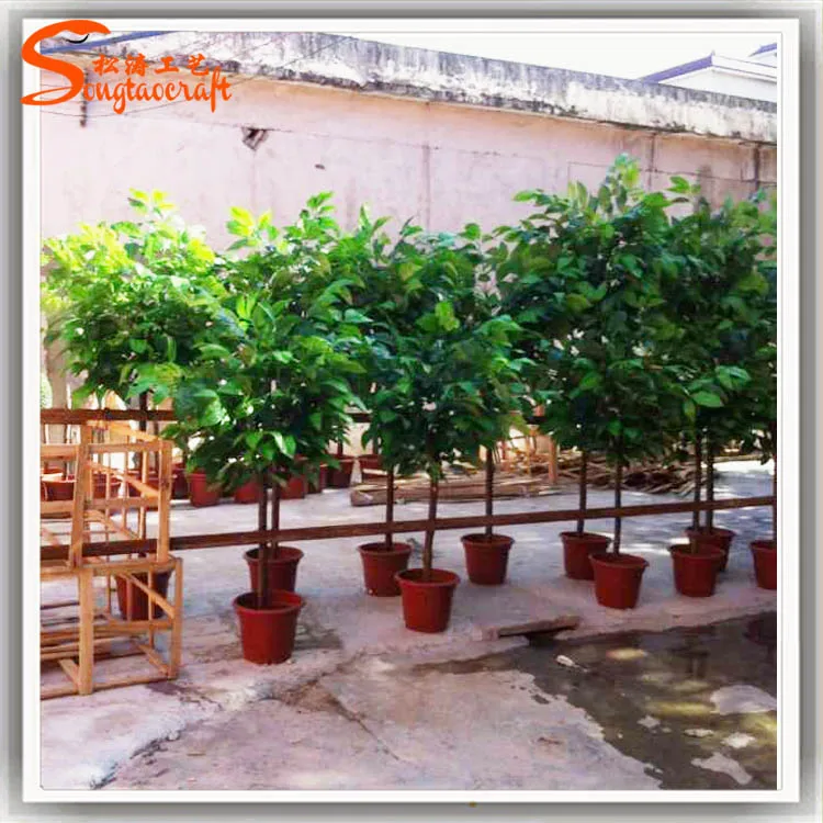 Home Decor Tropical Tree Artificial Cocoa Pods Fruit Trees Plastic Pods Tree Real Wood Plant