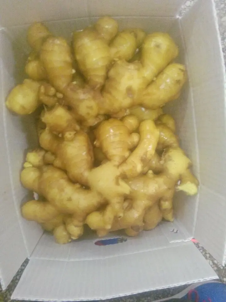 Свежий имбирь в картонной коробке 10 кг