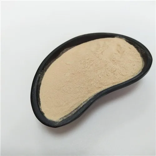 Probiotics Bacillus Subtilis powder