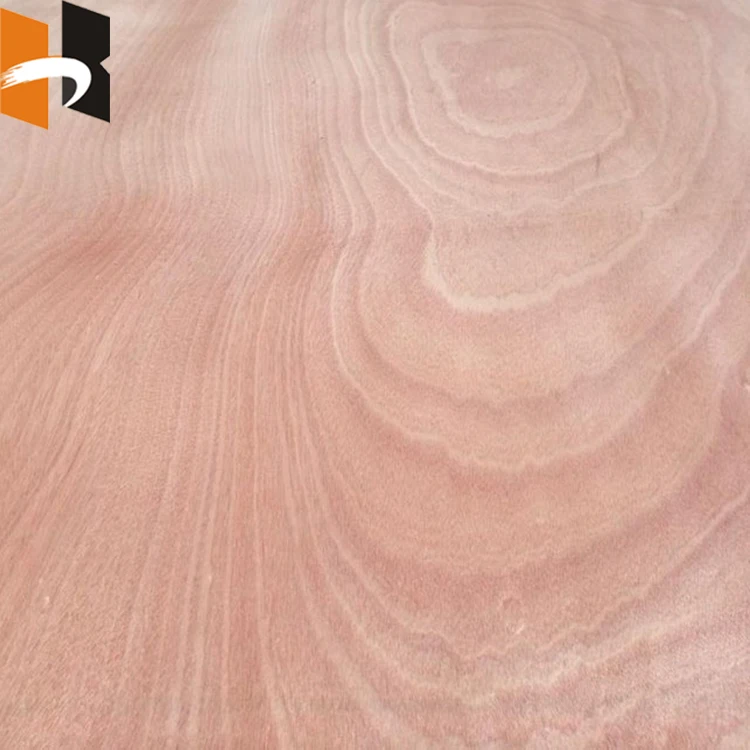 dyed koto okoume poplar ayous natural wood veneer plywood for furniture