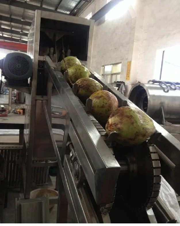 hot sale full set virgin coconut oil processing production line factory