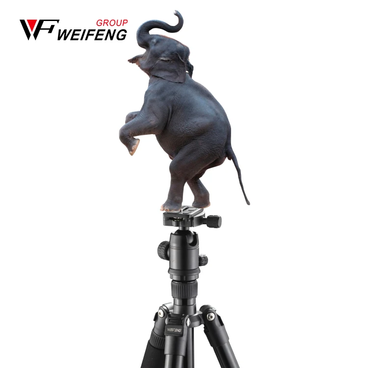 Portable Carbon Fiber DSLR Tripod outdoor light stand  360 degree Panorama Ball Head tripod for Camera Video Camcorder
