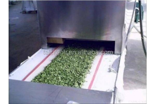 Advanced Green Tea Microwave Drying System