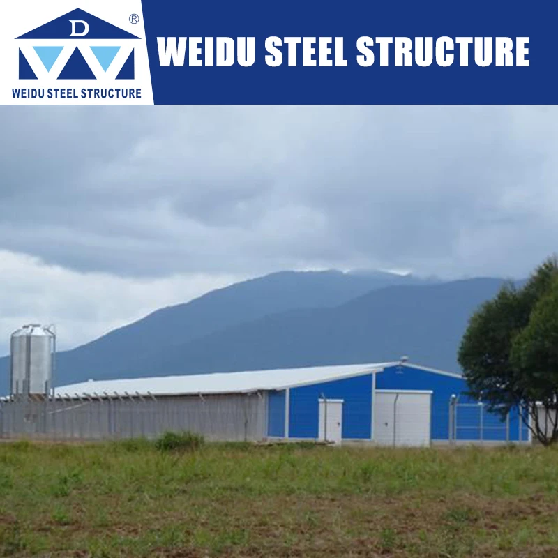 Factory Price Steel Structure Poultry House Chicken Egg Poultry Farm Layer Cage For Sale In African Farm