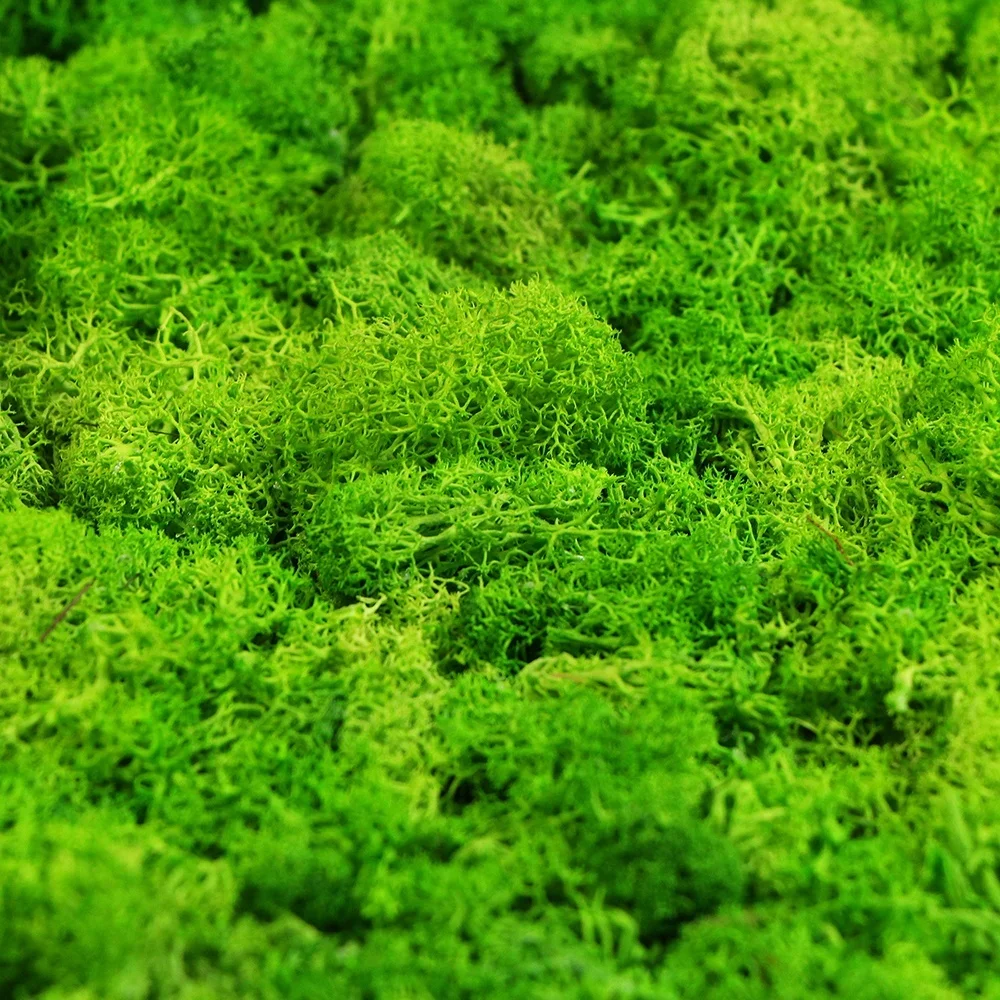 New products custom preserved reindeer outdoor artificial moss grass wall for decoration
