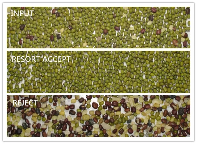 M128 Newest blueberries sorter rice mill color sorter germany almond color sorter