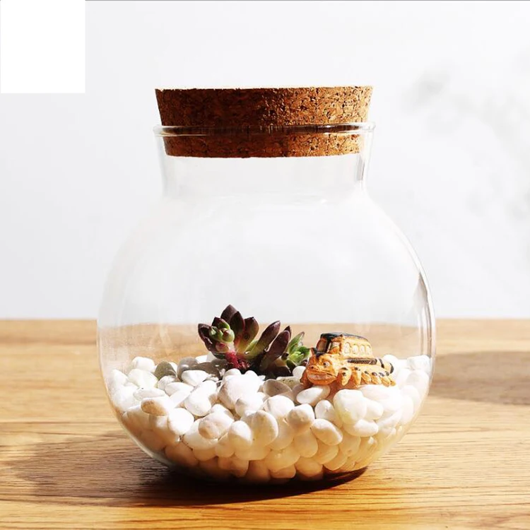 Glass Terrarium Container Bell Jars, Plant Terrarium in Glass Jar