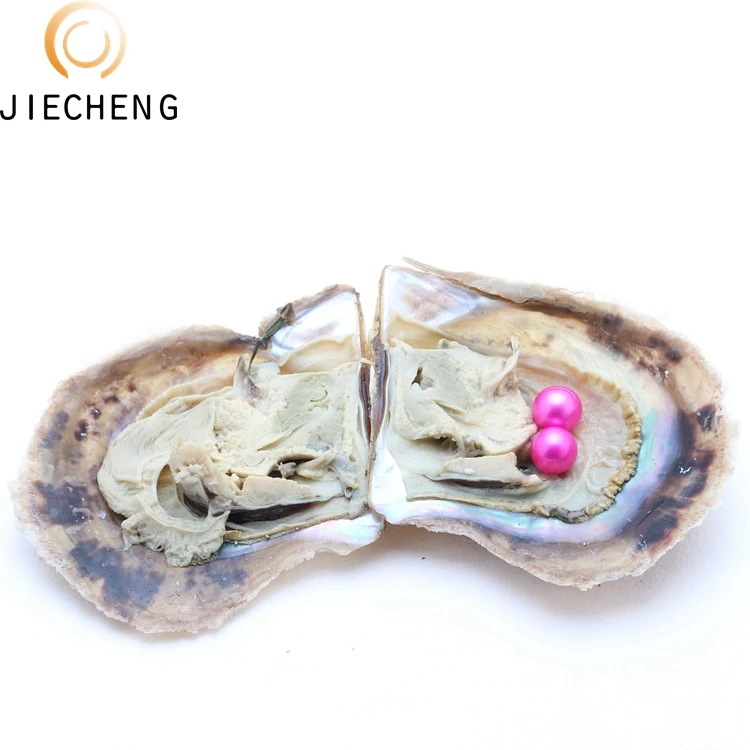 AAAA grade 6-7mm vacuum packed oysters twins seawater shell akoya pearls in oyster many colours stock