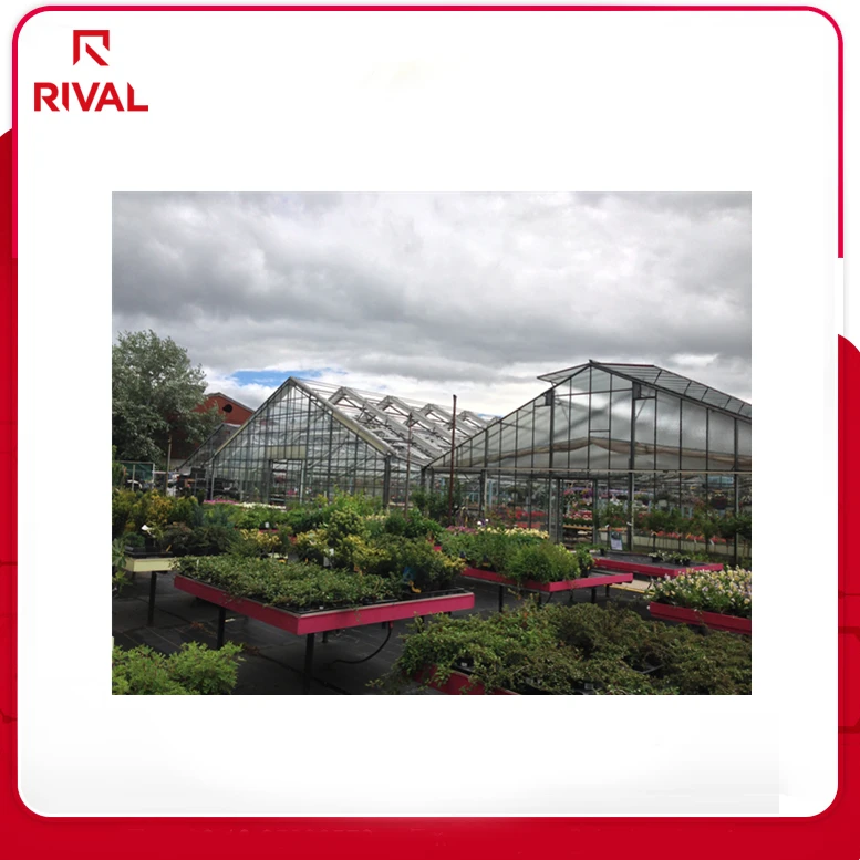 Wholesale China Hot Polycarbonate Greenhouse Film
