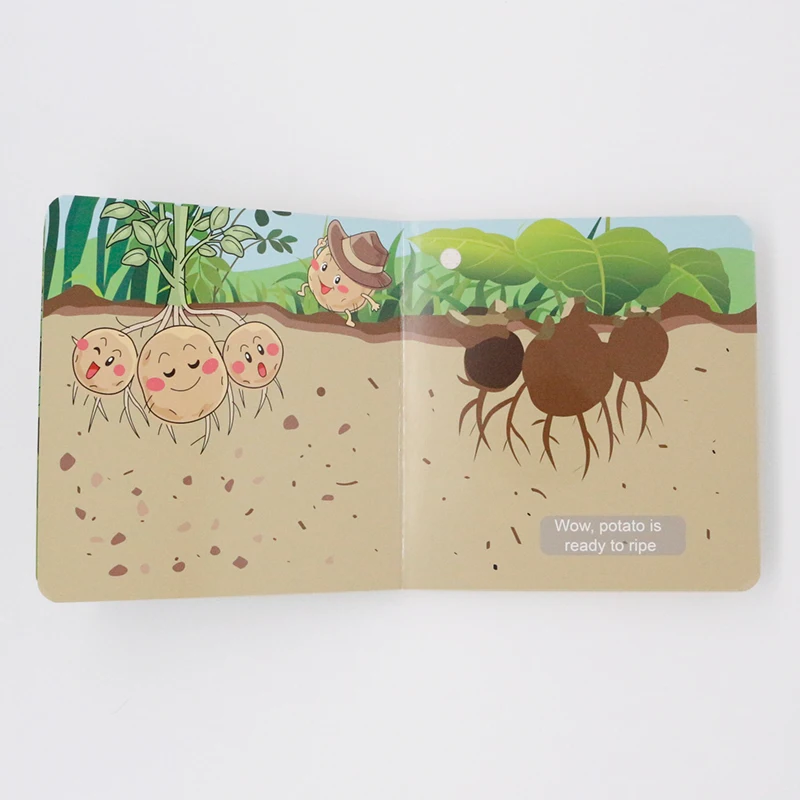 
Korea voice engineering audio infant module books with sound 