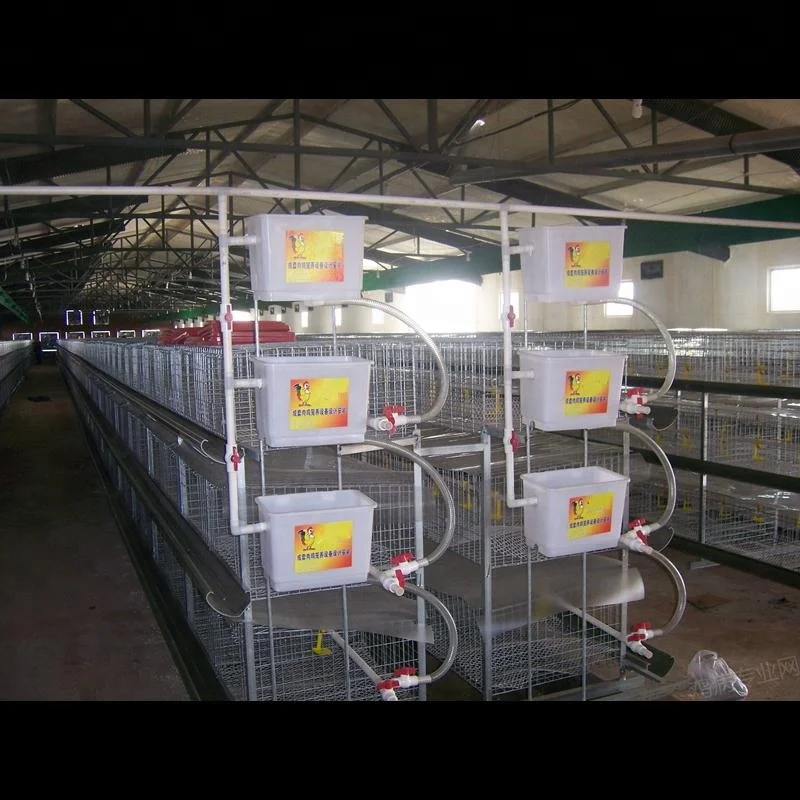 galvanized broiler chicken cage
