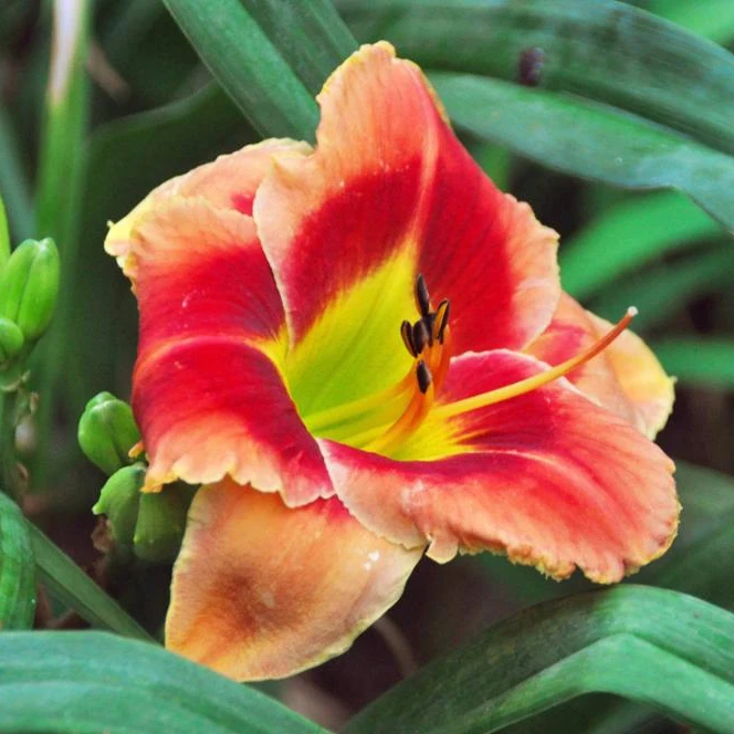 
chinese supplier Professional electronics products agent Safe Taobao Agent YZJN Wanted /Buying 