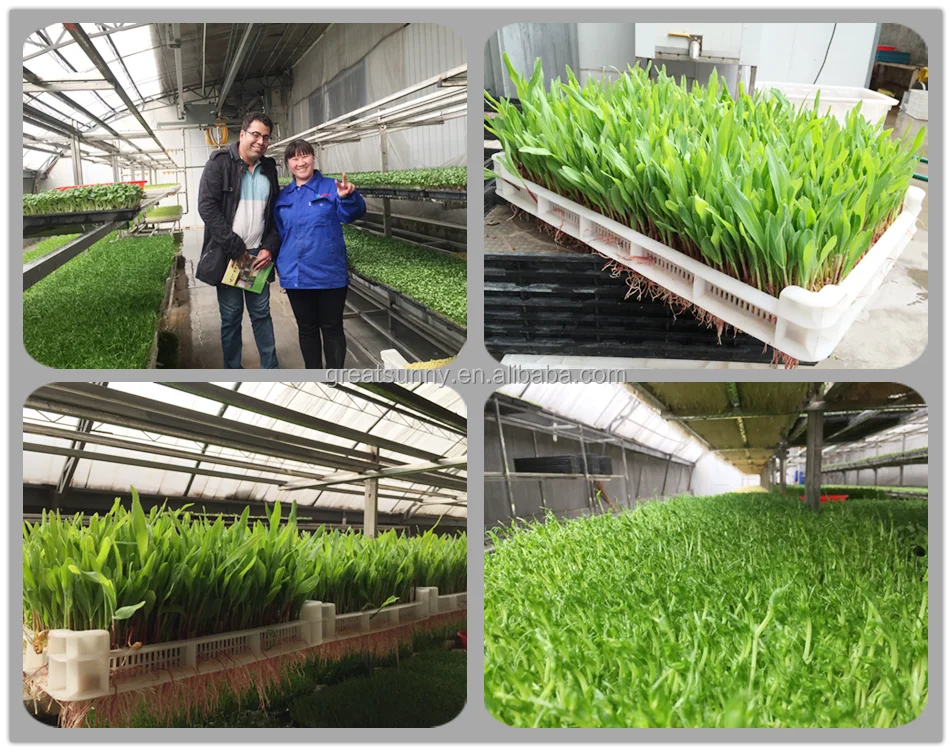 28Tray Sprout germination machine constant temperature intelligent automatic seed germination machine machine