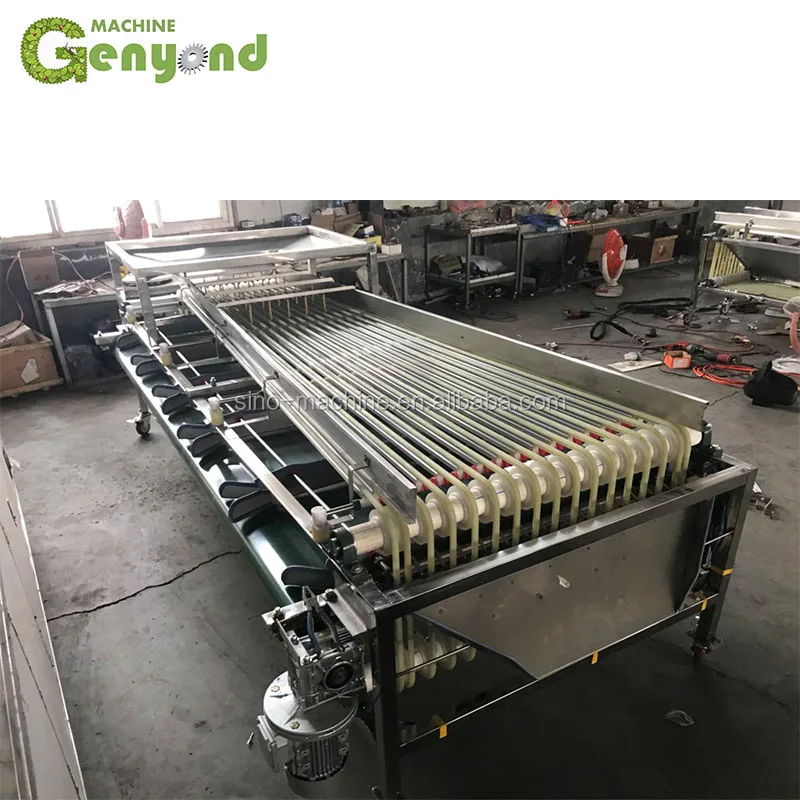 Пользовательская свежая сортировочная машина medjool для даток сортировки овощей и фруктов