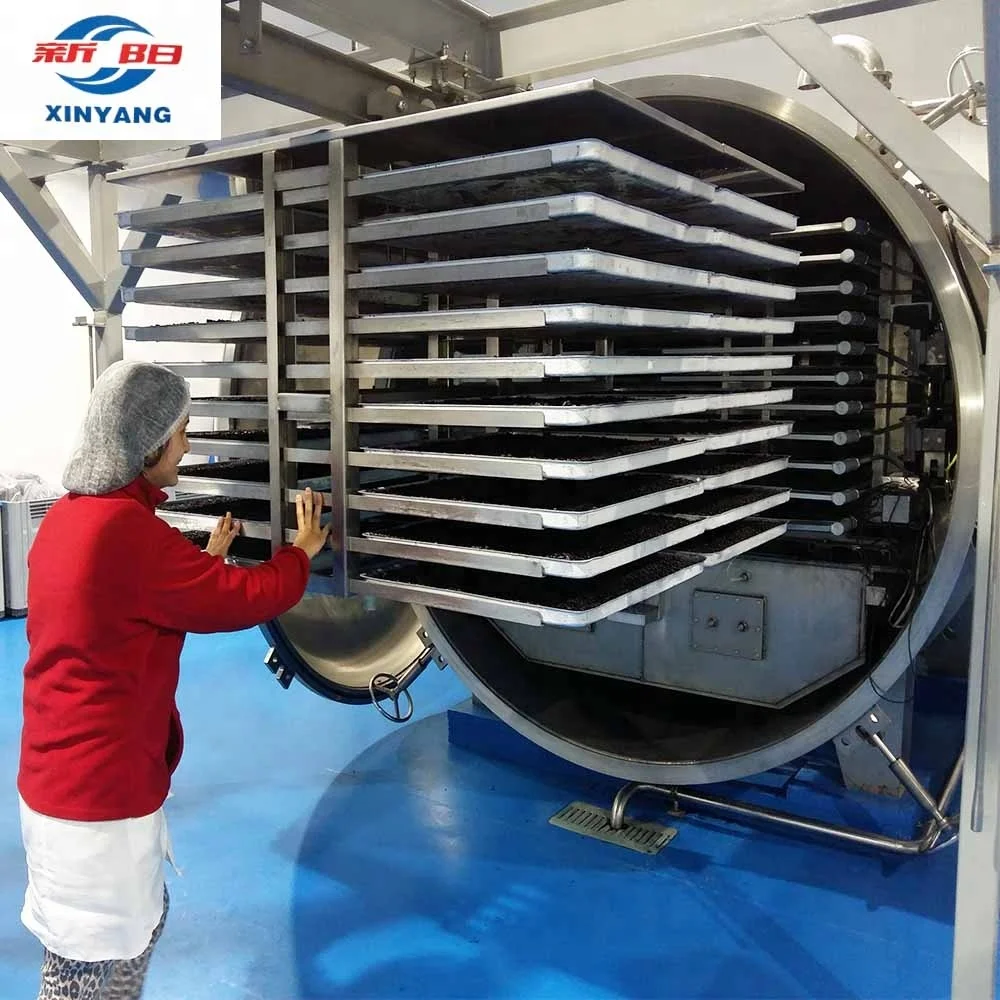 2022 Popular new brand High Quality Vacuum Lyophilizer Freeze Dryer Machine for Food Processing line