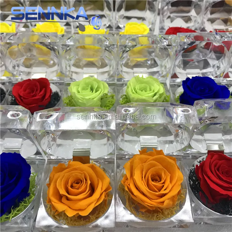 Perfect Christmas Valentines Romantic Gift Long Last Rose Small Preserved Roses in Ring Box