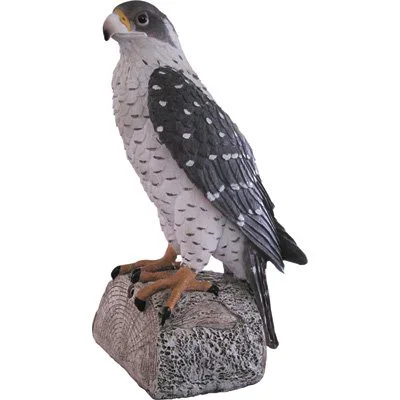 Resin Falcon Design Animal Statue Wholesale
