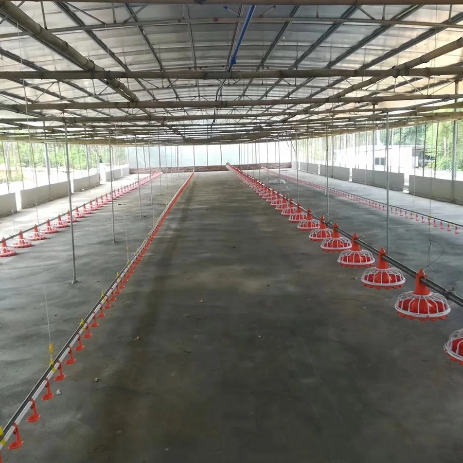 
Automatic Broiler floor feeding drinking system 