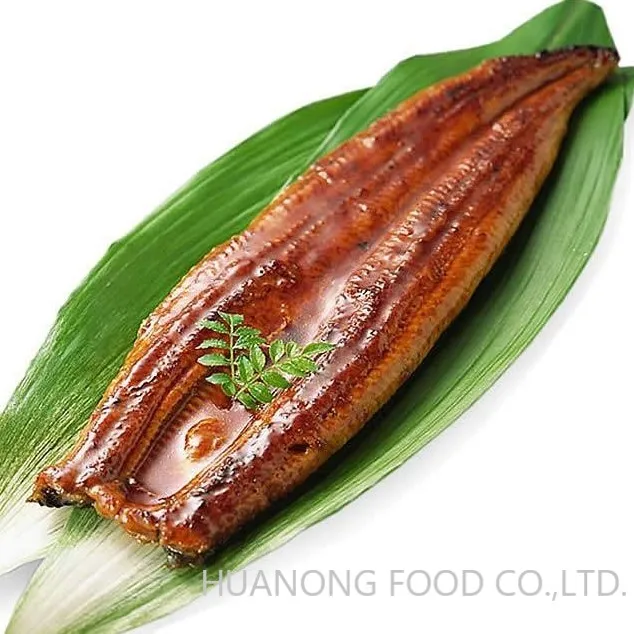 
6-20 OZ Broiled Eels Anguilla Japonica Conger Eel with high quality and factory price 