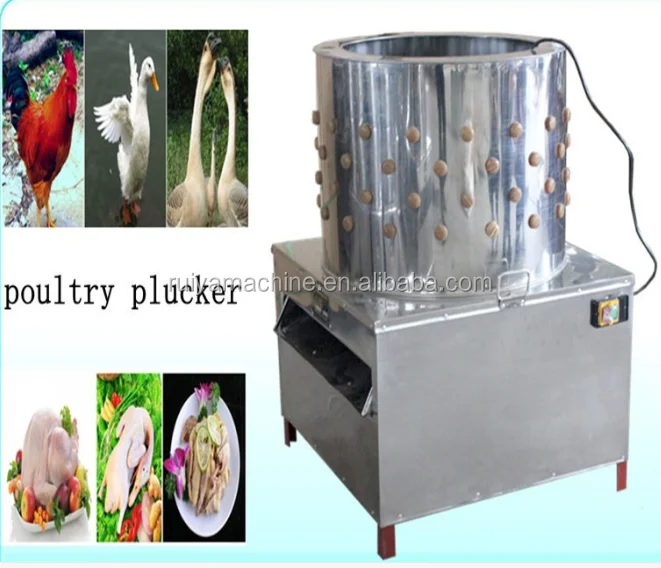 Factory price Chicken plucking machine / Industrial bird plucker chicken feather cleaning machine 0086-15981835029