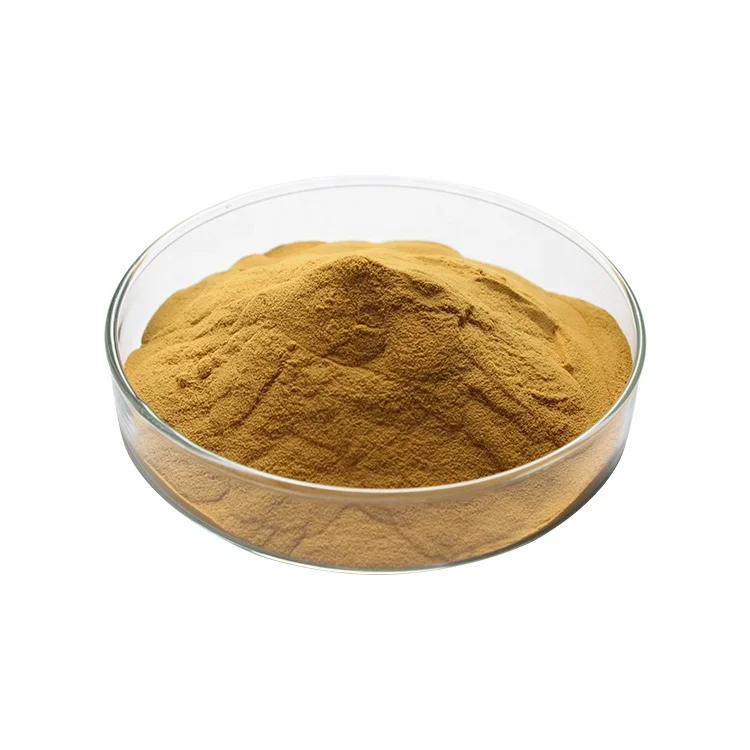 
ISO Certified Wholesale Pure Powder Bamboo Leaf Extract 