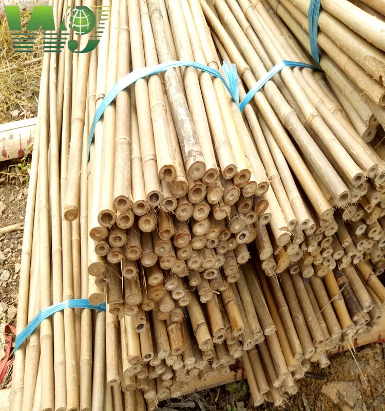 Wy-J458 бамбуковые стойки для томатных растений