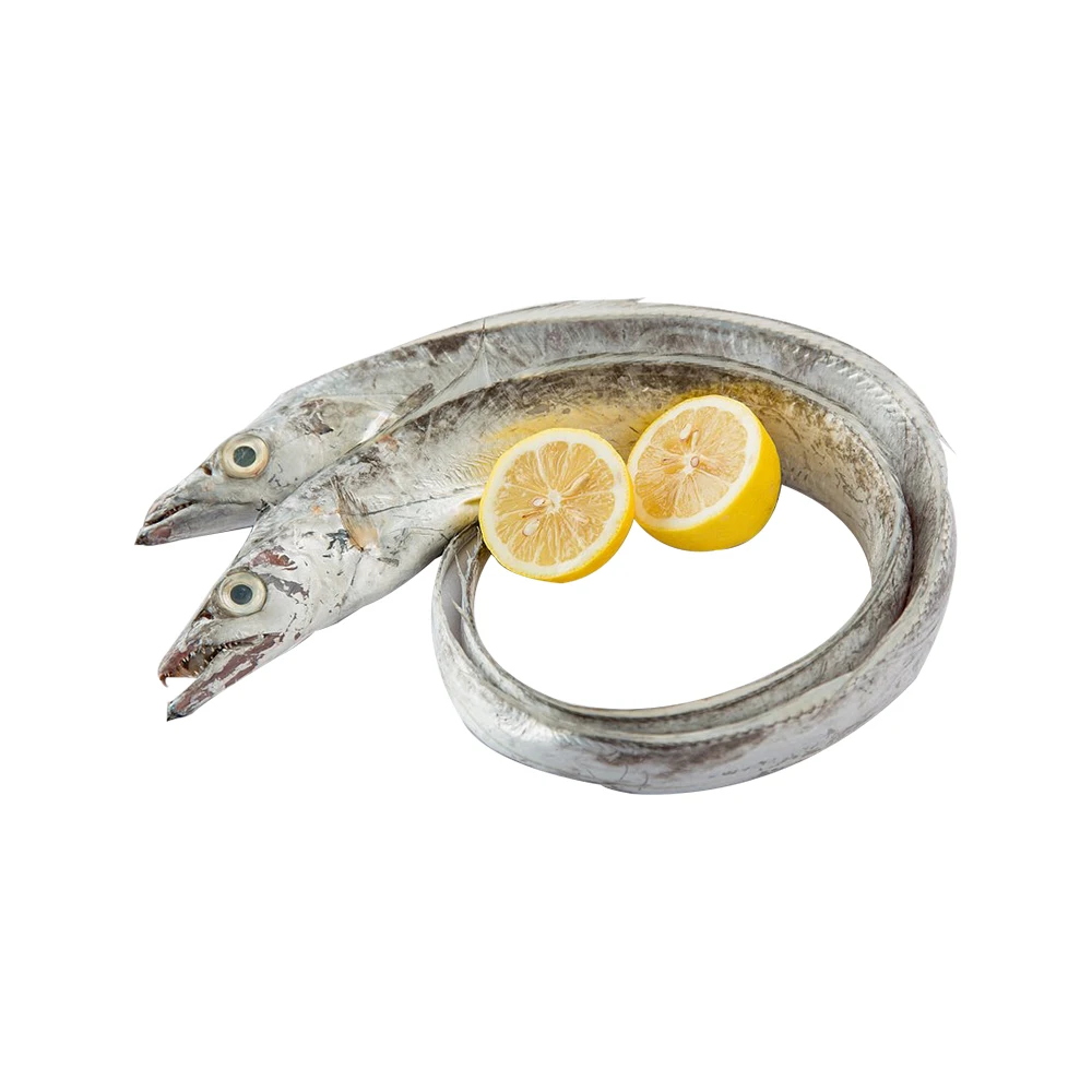 BQF Frozen fresh whole round ribbon fish for sale