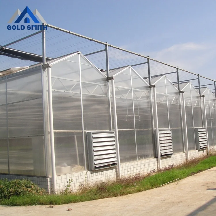 
Agricultural Polycarbonate Greenhouse Hydroponics for Pakistan 