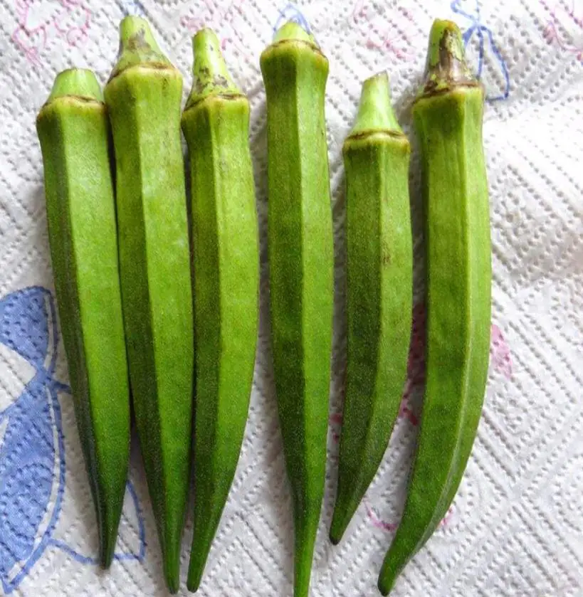 
New hybrid high yeild vegetable abelmosk gumbo Abelmoschus esculentus seeds 