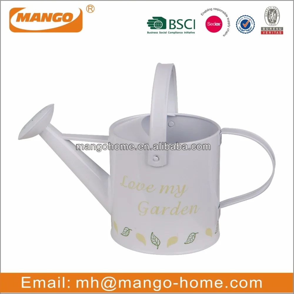 Countryside Garden Watering Can Metal Flower Pot