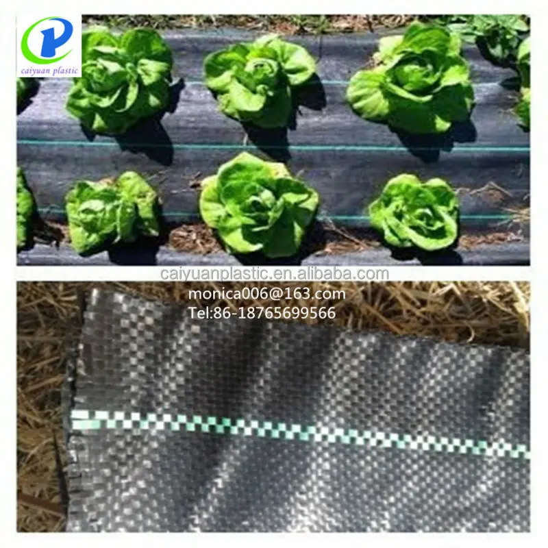 Сельское хозяйство черный полиэтиленовая пленка для питания сад