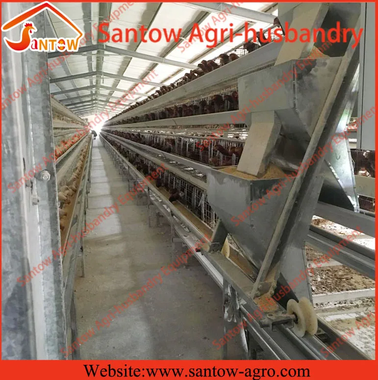 A type 4 tier chicken layer cages pigeon breeding battery cage for poultry farm