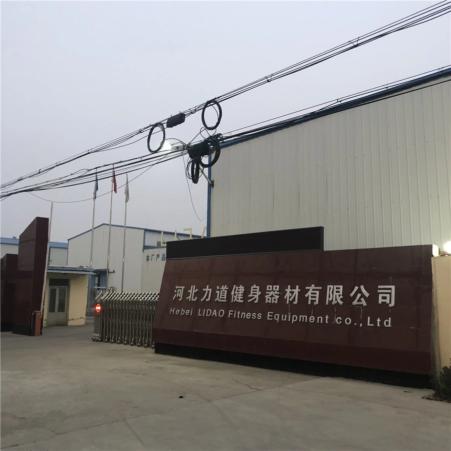 
Commerical gym equipment horizontal magnetic exercise bike LD1600 