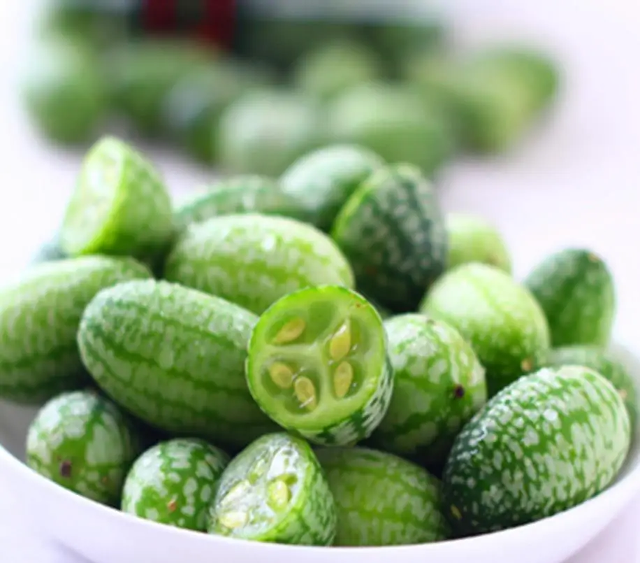 High yeild finger watermelon Mexican miniature watermelon seeds