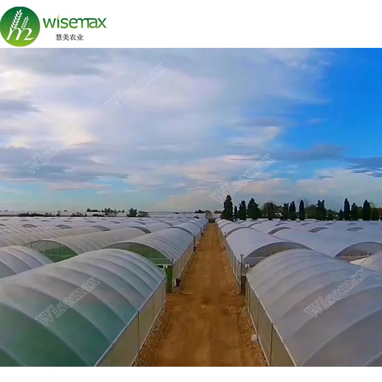 Горячая Распродажа, заводская цена, тоннель для пластиковой пленки, коммерческий зеленый дом