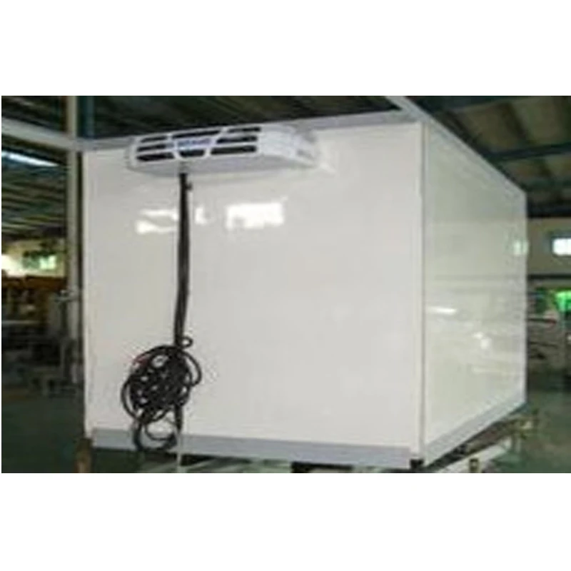 Famous Brand Insulated Panels For Cold Storage Prefabricated Small Cold Room Chicken Blast Freezer For Sale