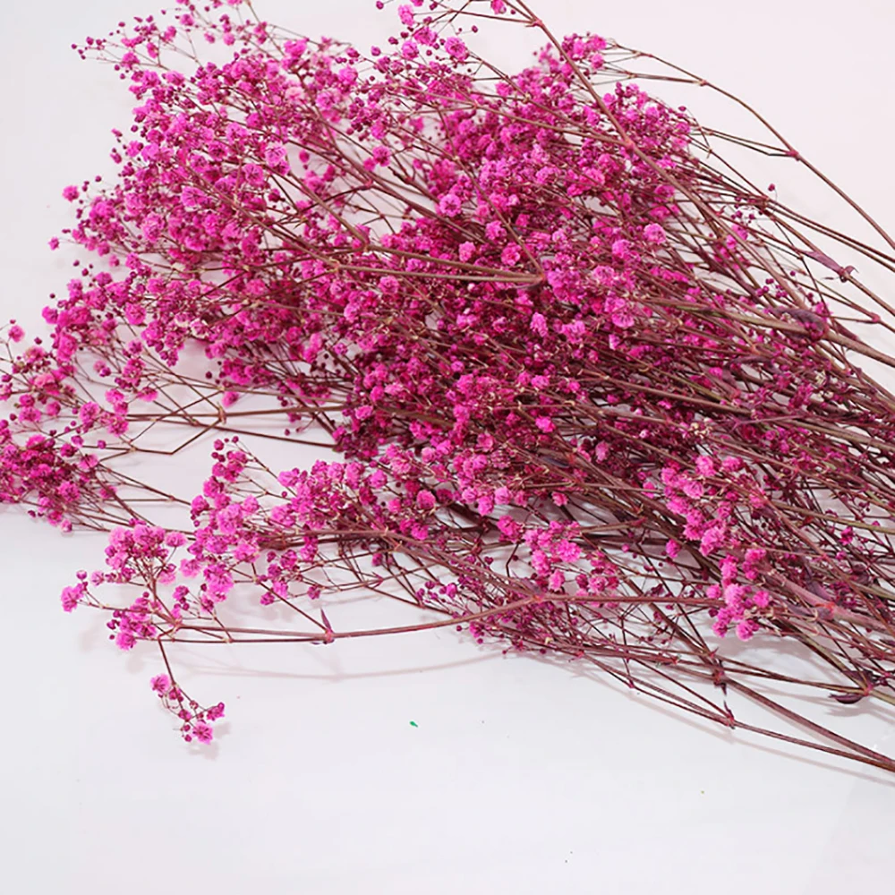 
Kunming Wholesale Real Flower Preserved Gypsophila Paniculata For Home Decoration 
