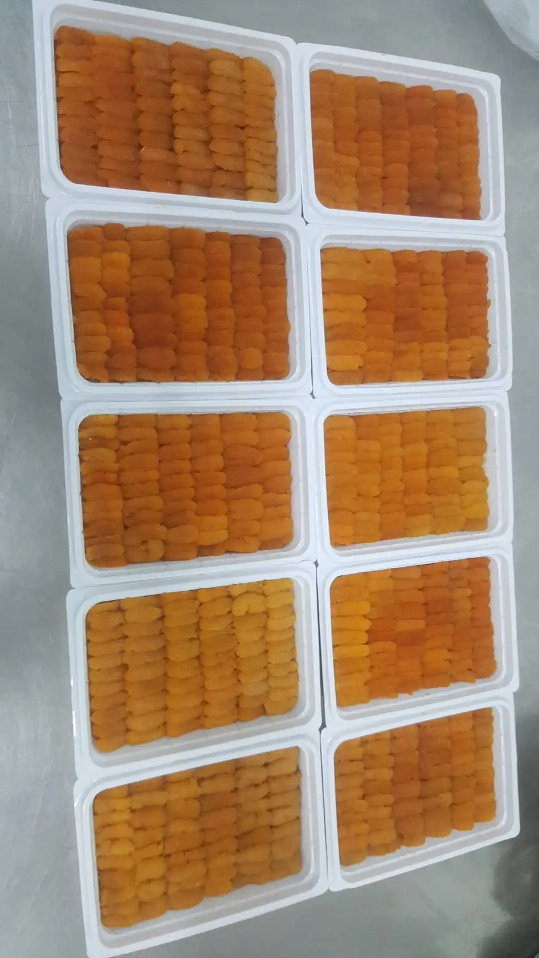 
Sea urchin with good price and taste 