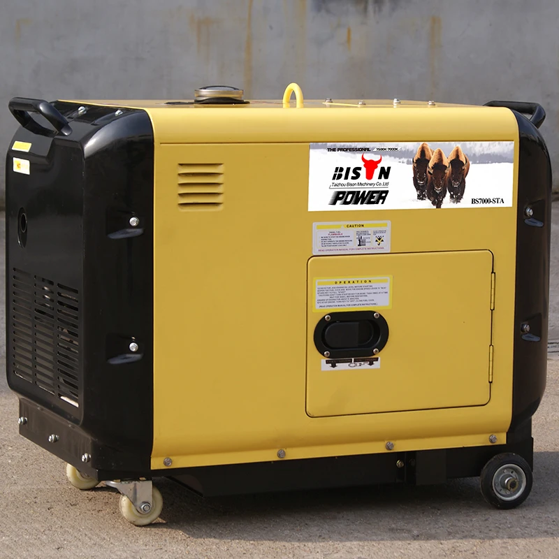 BISON(CHINA) Power 5 Kilowatt Portable Diesel Generator Price 10hp diesel generator set