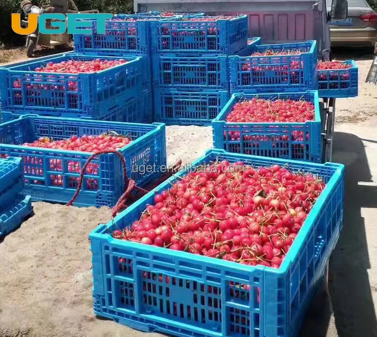 High quality plastic vegetable crates, folding plastic tomato crate, plastic fruit crates for sale